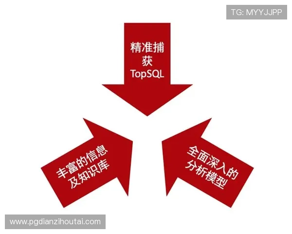 PG娱乐入口在线玩用户数据分析报告，助力优化游戏内容与服务质量